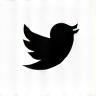 X (Twitter) Icon